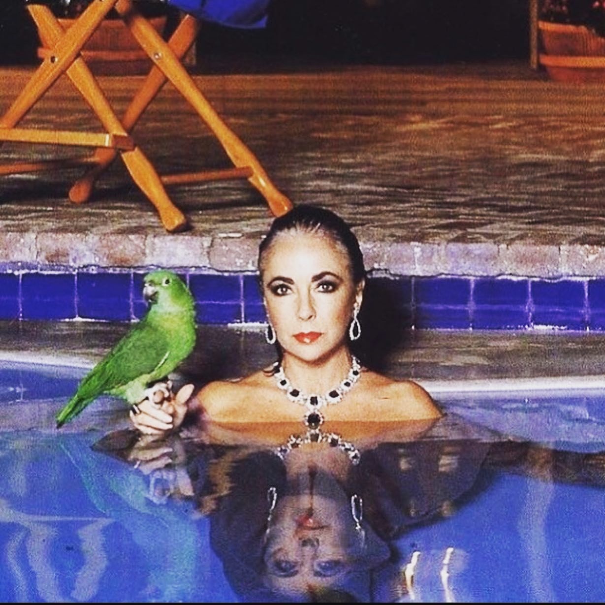 Afternoon Dip ? #elizabethtaylor #helmutnewton...