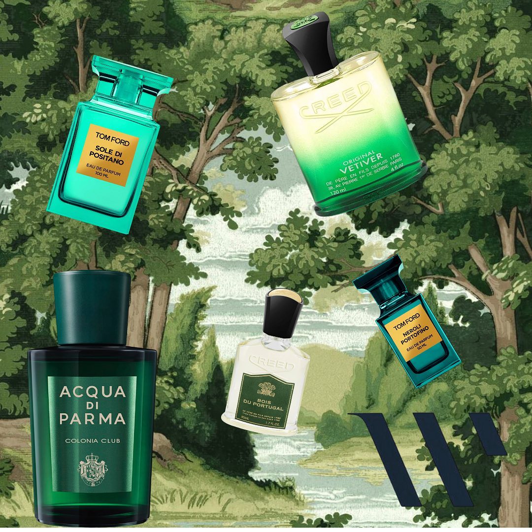 Fresh Fall Fragrance. #creed #acquadiparma...